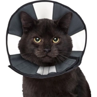 ZenPet Zen Collar - S product name