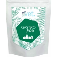 Bunny Nature GoVet Gastroplex 325 gr