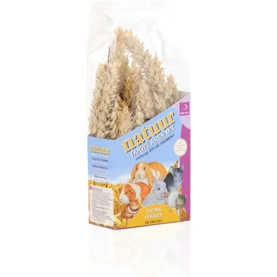 Esve Natuur Tarwe Aren - 90 g