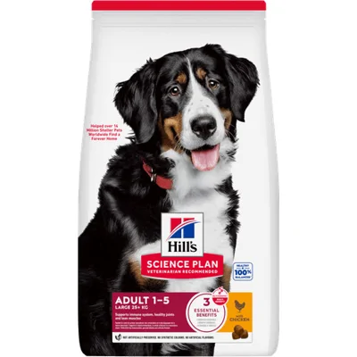 Hill's Science Plan Hond Adult Large Breed Kip 14kg