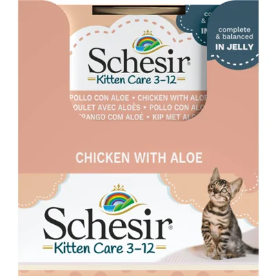 14x Schesir Kattenvoer Kitten 3-12 Kip - Aloe in Gelei 85 gr