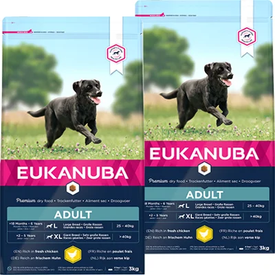 Eukanuba Adult Large Breed Kip 15 kg