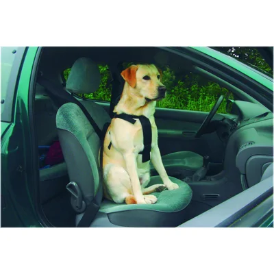 Beeztees Wandel- en Autogordel Hond XL
