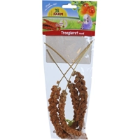 JR Farm Trosgierst Rood Parkiet&Grasparkiet 500 gr