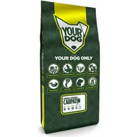 Yourdog Ciobanesc Romanesc Carpatin Pup 12kg