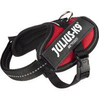 Julius K9 IDC Powertuig Baby 2 Rood