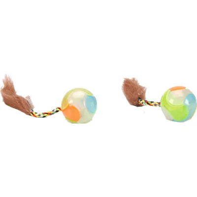 Beeztees Glow Bal