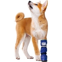 Medical PetS Boot Hond L - Kort