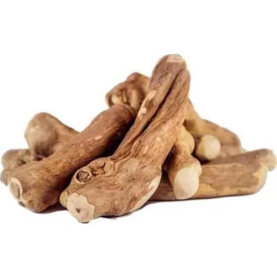 Koffieboom Kauwwortel maat S voor de hond Per 2