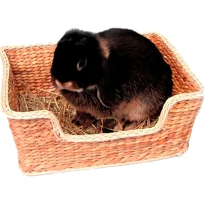 Rosewood Chill 'N' Snooze Knaagdierbed
