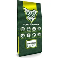 Yourdog Coton De Tuléar Pup 12kg