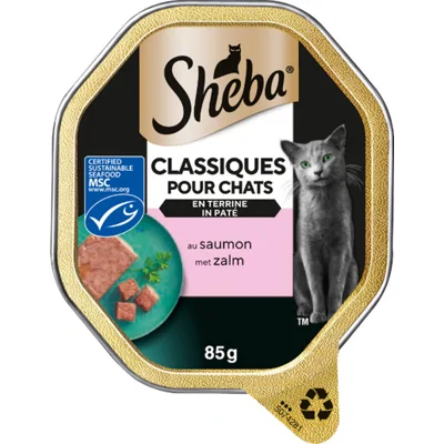 Sheba Classics paté met zalm natvoer kat (kuipjes 85 g) 22 x 85 g