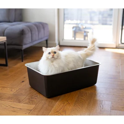 Quapas! Kattenbak RVS wit