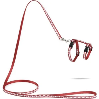 Beeztees Hearts Kittentuigje - Rood - 120 cm x 10 mm