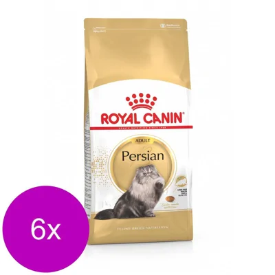 6x Royal Canin Kattenvoer Droog Persian Adult 2 kg
