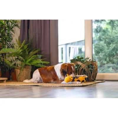Beeztees Jungle Gigi
