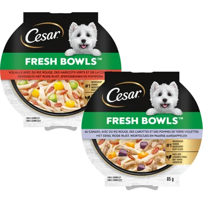 Cesar Fresh Bowls - Eend - 10 x 85 g