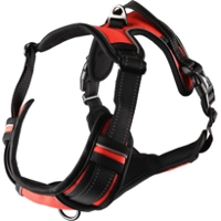 Hondentuig Balou Rood S 40-55 cm x 20 mm