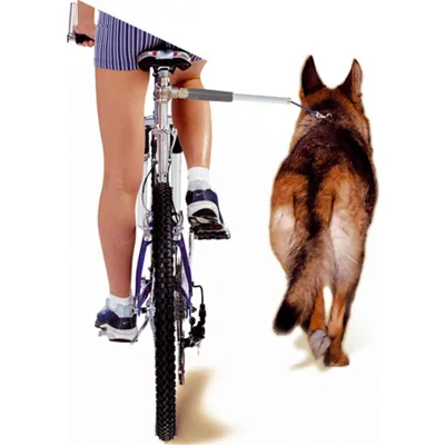 Camon walky dog fietsbeugel 60x3x3 cm