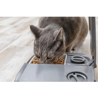 Petsafe automatische voerbak voor 2 maaltijden hond