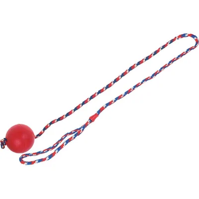 Massief rubberen bal aan touw voor de hond Per stuk