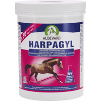 Harpagyl Audevard - 450 gram