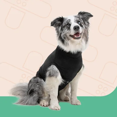 Suitical Recovery Suit Hond - M - Zwart