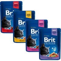Brit Premium Cat Pouches - Adult - Zalm en forel - 24 x 100 g