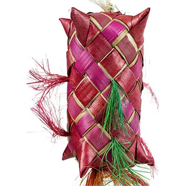 Back Zoo Nature Carnival Pinata