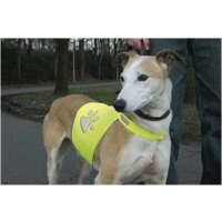 Safety Gear Veiligheidsvest Reflecterend Geel M
