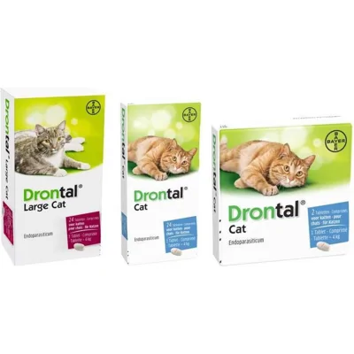 Bayer Drontal Large Cat 24 tabletten