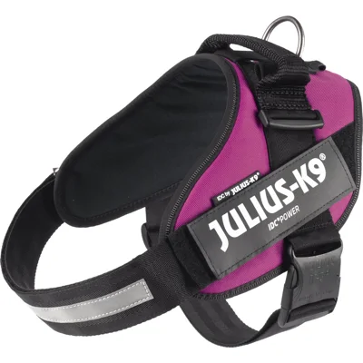 Julius K9 IDC Powertuig Maat 2 Roze