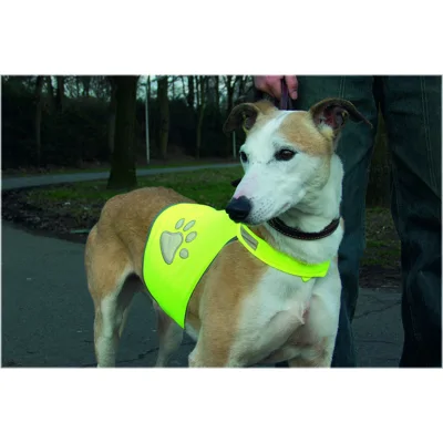 Safety Gear Veiligheidsvest Reflecterend Geel S
