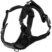 Hondentuig Balou Zwart XL 80-105 cm x 25 mm product name