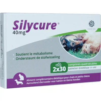 Silycure 40 mg 60 tabletten
