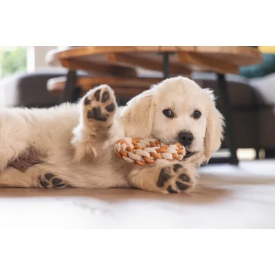 Beeztees Puppy Dental Touwring Mik - 14 cm
