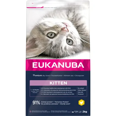 4x Eukanuba Junior Kitten Kattenvoer Kip - Lever 2 kg
