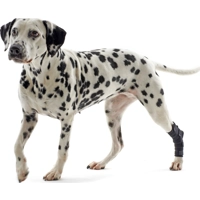 Kruuse Rehab Hakbeschermer - XXXS