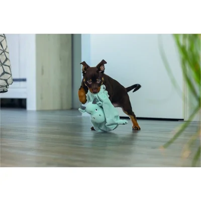 Beeztees Puppy Knuffeldoek Draak - Groen - 31,5 x 25 x 7,5 cm