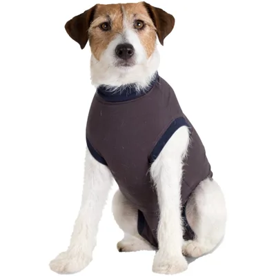 Jacketz Medical Body Suit Hond - XXS - Blue