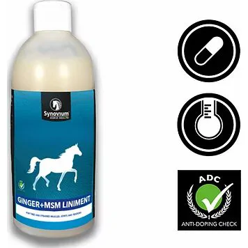 Synovium Ginger MSM Liniment - 500 ml