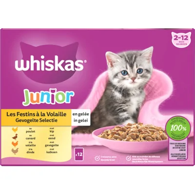 4x Whiskas Junior Multipack Gevogelte Selectie in Gelei 12 x 85 gr