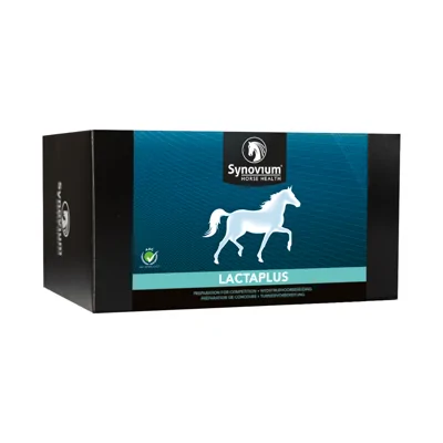 Synovium Lactaplus 6 x 40 g