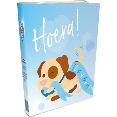 10x Renske Woef Gift It’s A Boy
