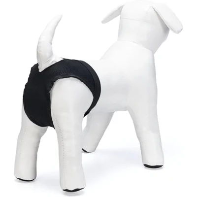 Beeztees Loopsheidbroekje - L: 43-55 cm