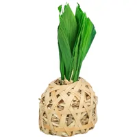 Trixie Ananas - 6,5 × 14 cm