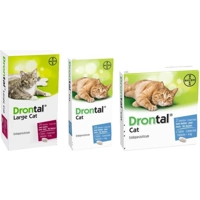 Bayer Drontal Large Cat 2 tabletten