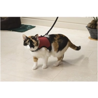 Beeztees Katten Loopharnas Comfort - Kattentuigje product name