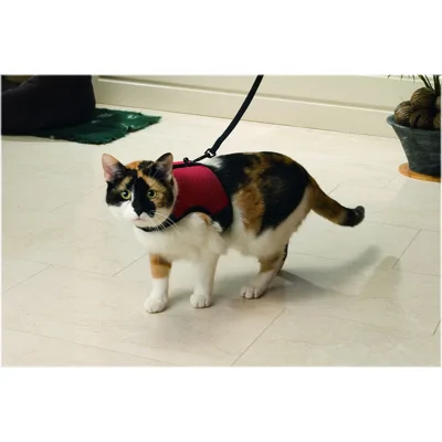 Beeztees Katten Loopharnas Comfort - Kattentuigje