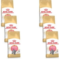 6x Royal Canin British Shorthair Kitten Kattenvoer 2 kg